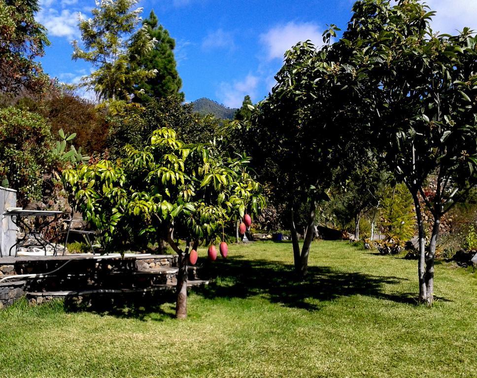 Ferienvilla Finca Tijarafe mit beheiztem Pool Kamer foto